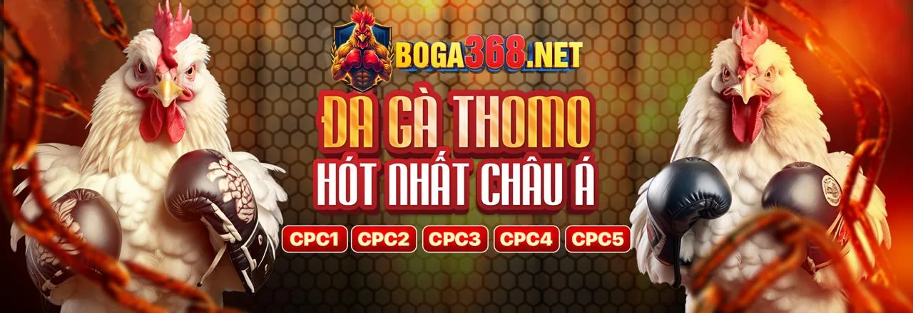 Trường gà Casino đá gà trực tuyến F8 BET